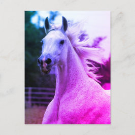 Hermosa tarjeta de yegua de caballo árabe de color
