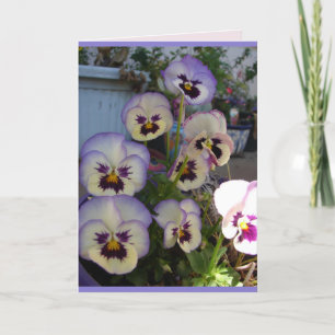 Hermosa tarjeta floral Pansy azul Pansies