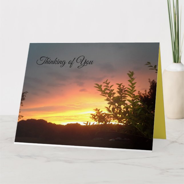 Hermosa tarjeta para que alguien sepa que le impor (Anverso)