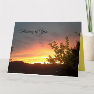 Hermosa tarjeta para que alguien sepa que le impor