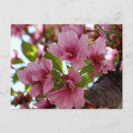 Hermosa tarjeta Personalizado de fotos de flores d
