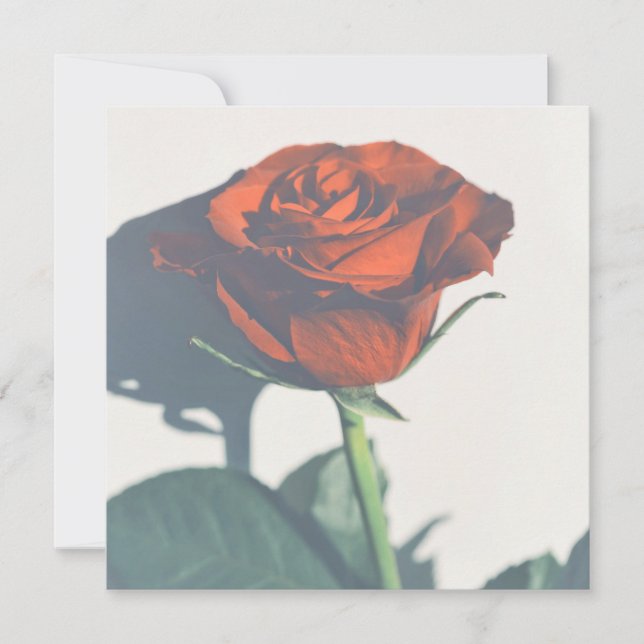 Hermosa tarjeta plana de texto rosa roja (Anverso)
