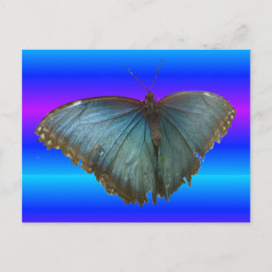 Hermosa tarjeta postal azul Morpho Butterfly DIY