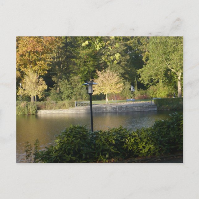 HERMOSA TARJETA POSTAL DE EXPRESIONES (Anverso)