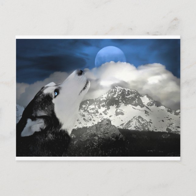 Hermosa tarjeta postal de vacaciones Husky (Anverso)