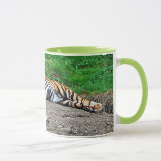 Hermosa taza de café de tigre dormido