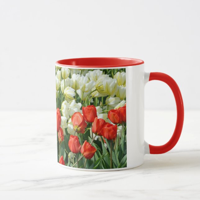 Hermosa taza de café de tulipán rojo y blanco (Derecha)