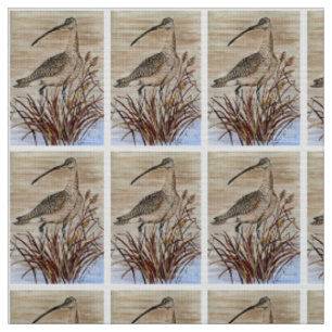 Hermosa tela de Whimbrel