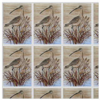 Hermosa tela de Whimbrel