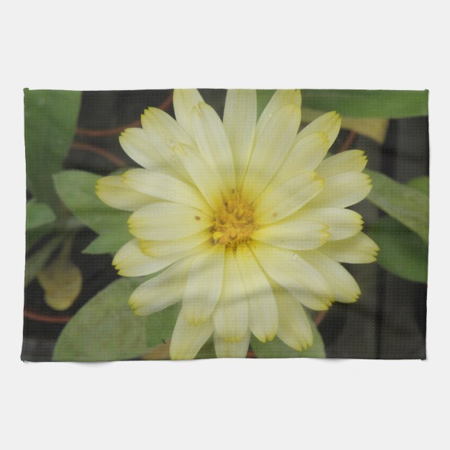 Hermosa toalla de cocina de Marigold amarilla (Horizontal)