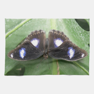 Hermosa toalla de cocina de mariposa con manchas a