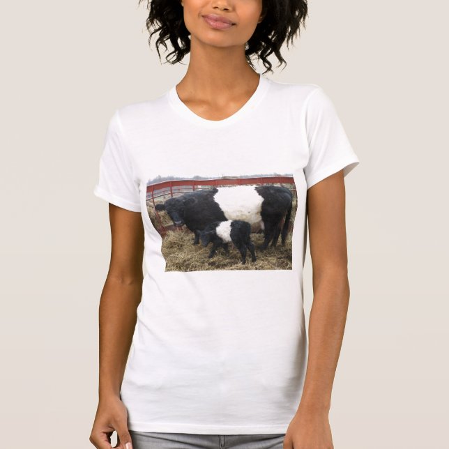 Hermosa vaca Beltie y camiseta de ternera (Anverso)
