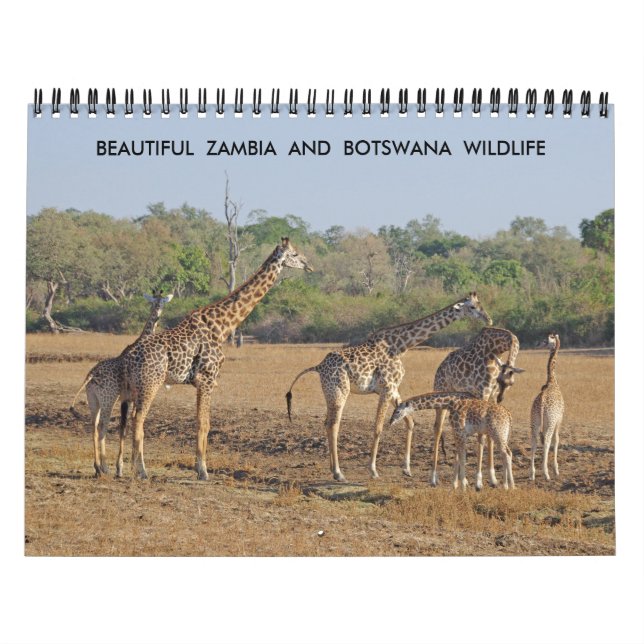 HERMOSA ZAMBIA Y BOTSWANA WILDLIFE CALENDARIO (Tapa)