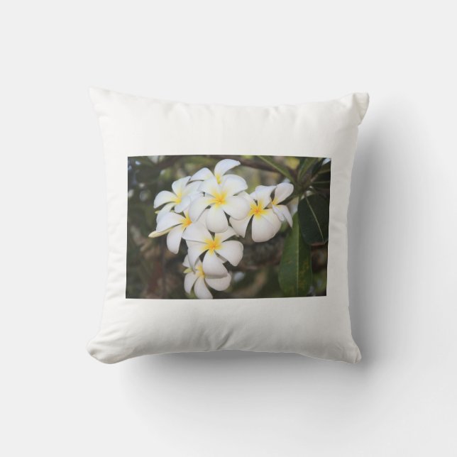 Hermosas flores blancas, Plumeria, almohada (Anverso)
