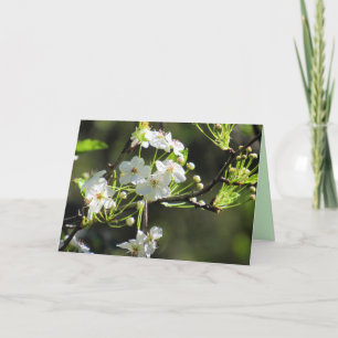 Hermosas flores blancas - Tarjeta de saludo floral