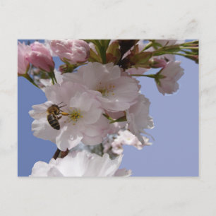 Hermosas flores con postal Bee DIY