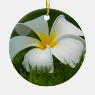 Hermosas flores de cierre - Ornamentos