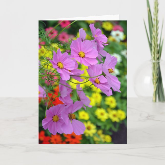 Hermosas flores de cosmos imprimir tarjeta de salu (Anverso)