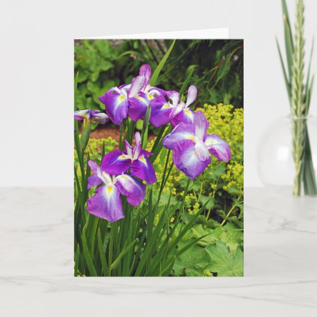 Hermosas flores de iris morado imprimir tarjeta de (Anverso)