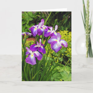 Hermosas flores de iris morado imprimir tarjeta de