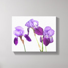 Hermosas flores de iris púrpura arte floral fino