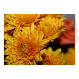 Hermosas flores de otoño