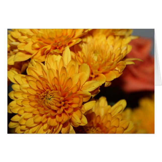 Hermosas flores de otoño (Anverso (Horizontal))