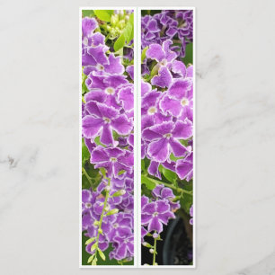 Hermosas flores púrpura dos marcadores