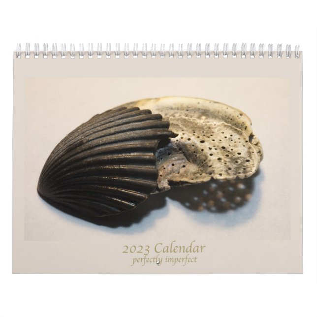 Hermosas fotos del calendario de proyectiles rotos (Tapa)