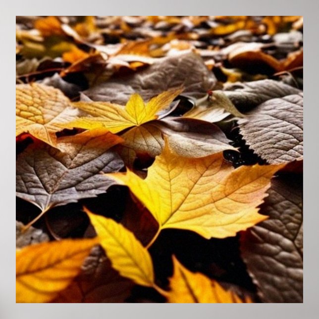 Hermosas hojas de otoño en el suelo 4 posters (Frente)