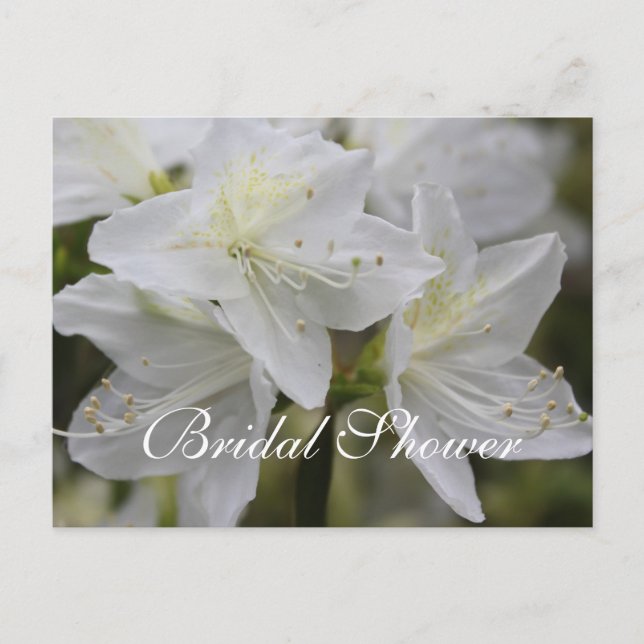Hermosas invitaciones a la ducha de novias florale (Anverso)
