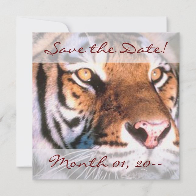 Hermosas Invitaciones de tigres (Anverso)