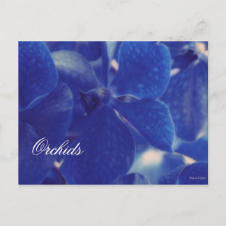 ¡Hermosas orquídeas azules!, postal de plantilla e