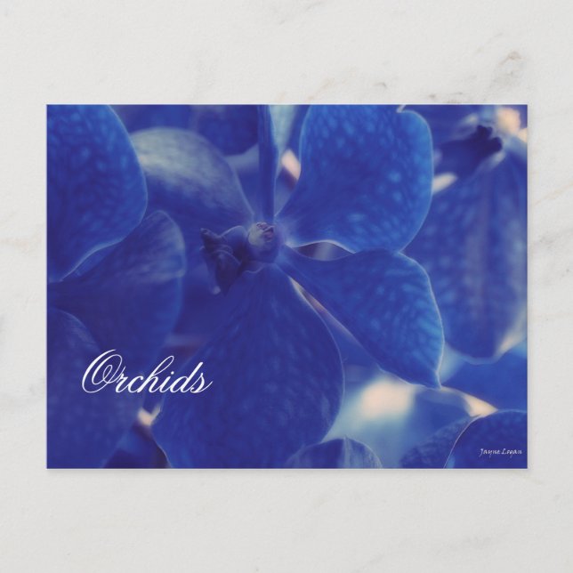 ¡Hermosas orquídeas azules!, postal de plantilla e (Anverso)
