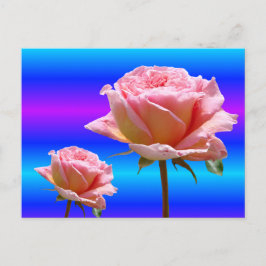 Hermosas rosas rosas que cierran la postal DIY