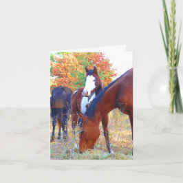 Hermosas tarjetas de cumpleaños para caballos