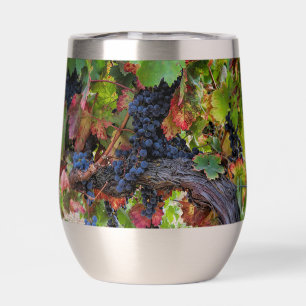 Hermosas uvas de vino y vino
