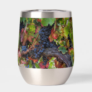 Hermosas uvas de vino y vino