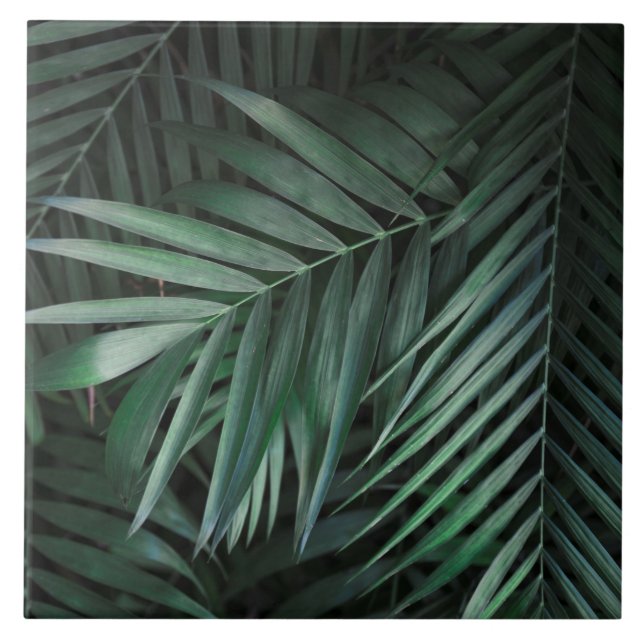 Hermosas y elegantes hojas tropicales azulejos cer (Frente)