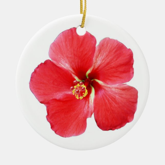 Hermoso adorno de Navidad tropical Hibiscus (Frente)