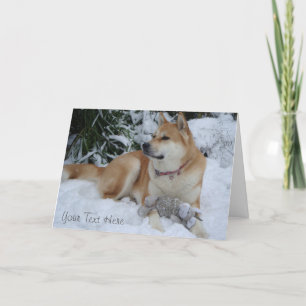 hermoso akita descansando en la nieve navidad