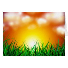 Hermoso amanecer sobre un campo de hierba