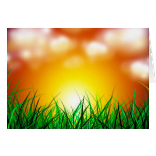 Hermoso amanecer sobre un campo de hierba (Anverso (Horizontal))