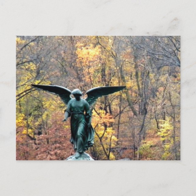 Hermoso ángel en postal de los bosques de otoño (Anverso)