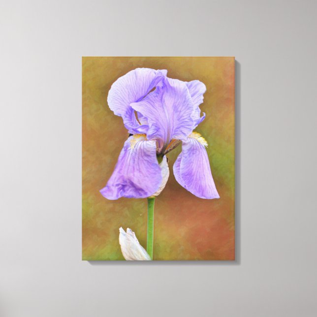 Hermoso Arte de Flor de Iris Púrpura (Anverso)