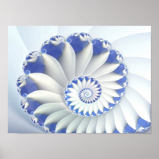 Hermoso arte fractal azul y blanco de la concha de (Frente)