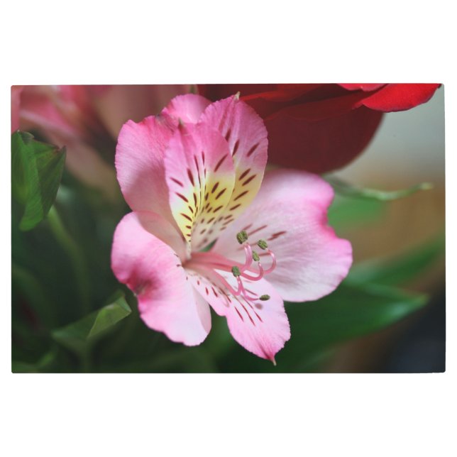 Hermoso arte mural Metalizado (Anverso)