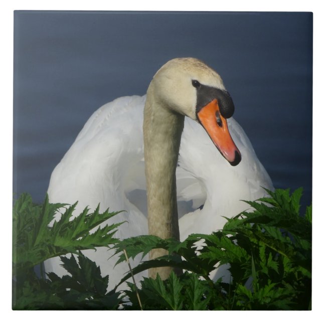 Hermoso azulejo cerámico de cisne (Frente)