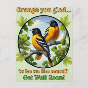 Hermoso Baltimore Orioles tarjeta postal de recupe