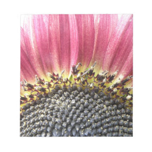 Hermoso Bloc de notas de girasol rosa